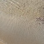Lunablu