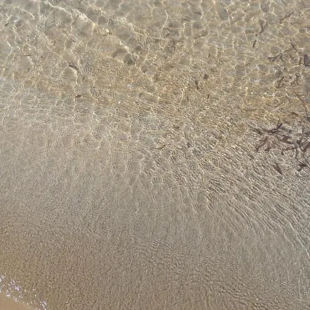 Lunablu